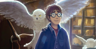 Illustration for article titled Rereading Harry Potter: 10 Questions I Have About The Magical World